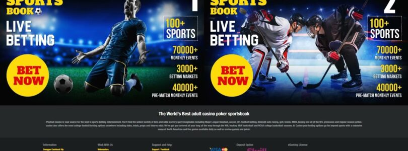 PlayHub Casino Site Video Review