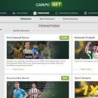 The Future of Online Gambling: An Analysis of Campo Bet's Role in it