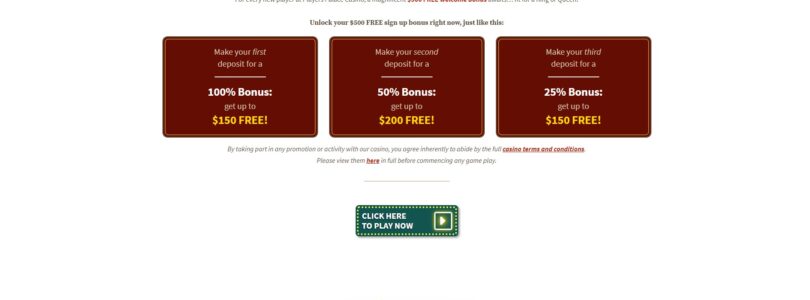 A Beginner's Guide to Playing at Players Palace Casino Online