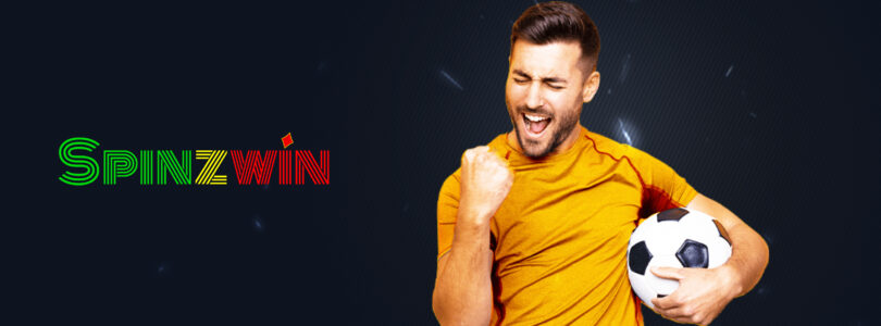 A Beginner's Guide to Playing at Spinzwin Casino Online