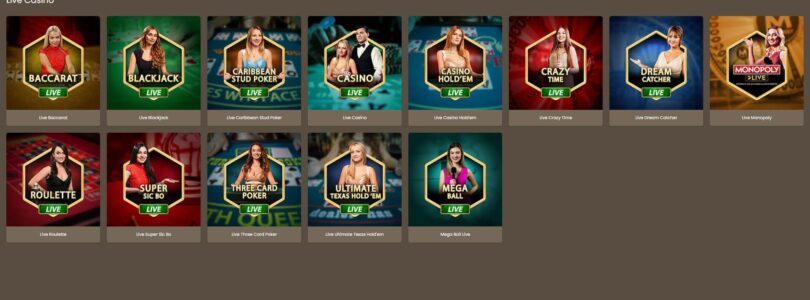 A Beginner's Guide to Playing Table Games at Golden Reef Casino Online