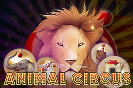 Animal Circus