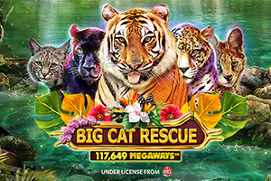 Big Cat Rescue Megaways