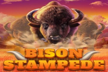 Bison Stampede