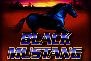 Black Mustang