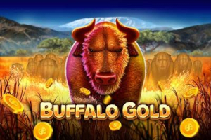 Buffalo Gold