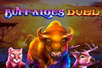 Buffaloes Duel