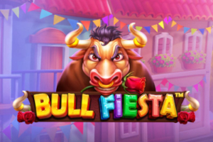 Bull Fiesta