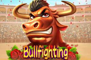 Bullfighting