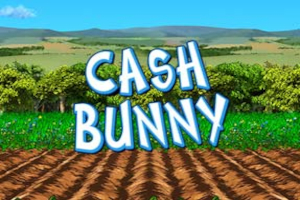 Cash Bunny