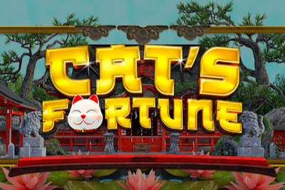 Cat's Fortune