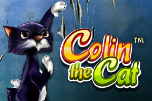 Colin The Cat