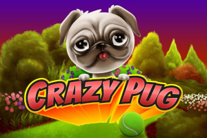 Crazy Pug