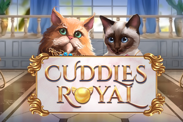 Cuddles Royal