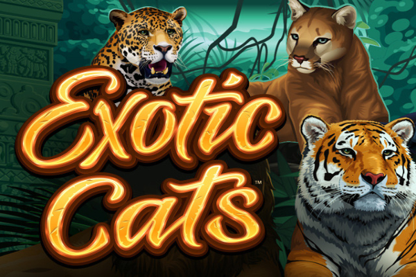 Exotic Cats