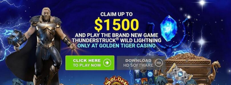 Exploring the Live Casino Experience at Golden Tiger Casino Online