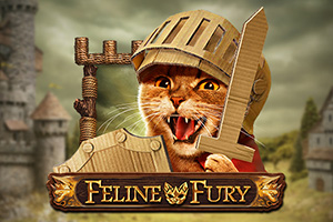 Feline Fury