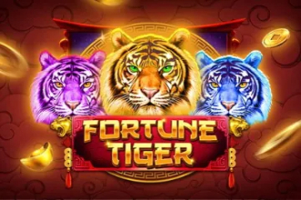 Fortune Tiger