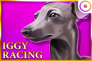 Iggy Racing