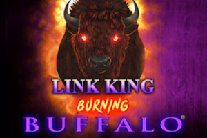 Link King Burning Buffalo