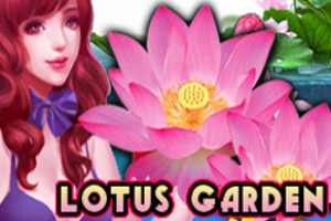 Lotus Garden