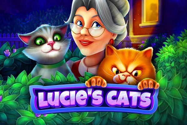 Lucie's Cats