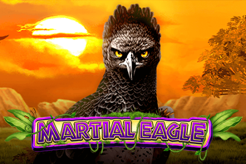 Martial Eagle