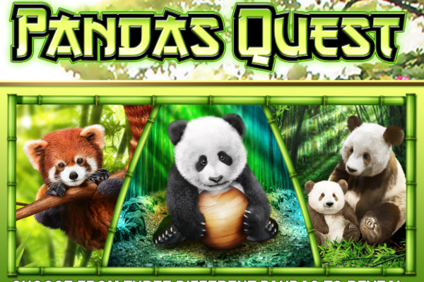 Pandas Quest