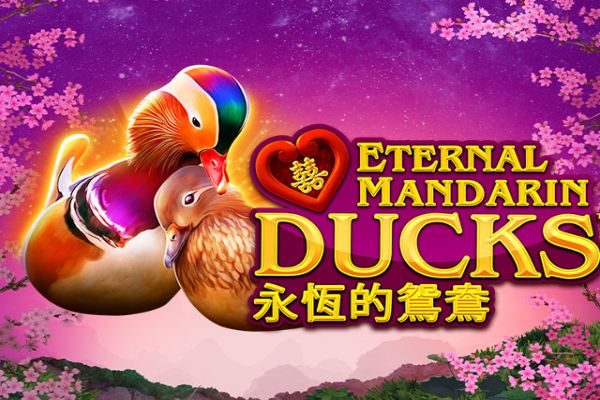 Power Prizes - Eternal Mandarin Ducks