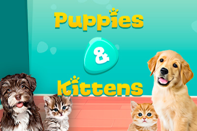 Puppies & Kittens