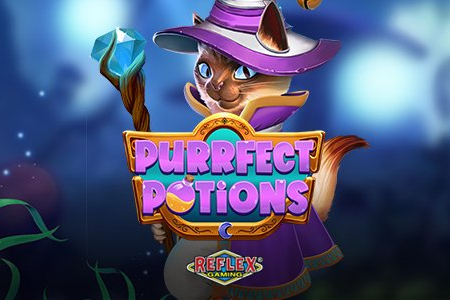 Purrfect Potions