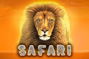 Safari