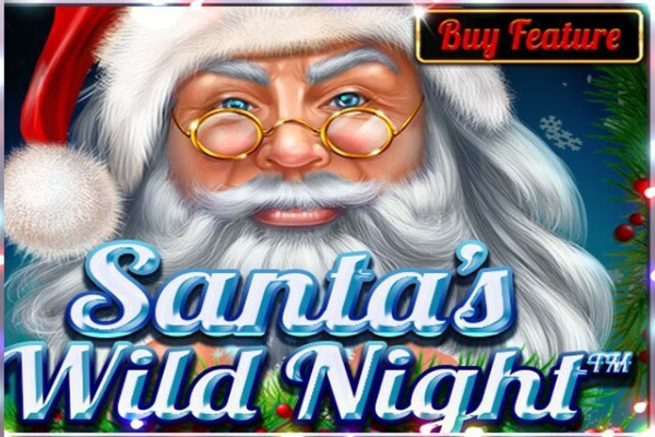 Santa’s Wild Night