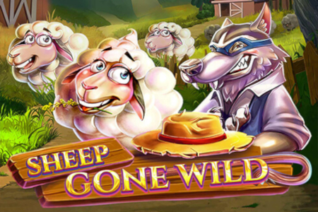 Sheep Gone Wild