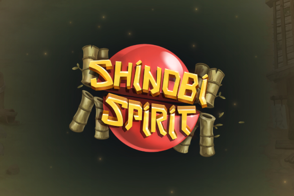 Shinobi Spirit