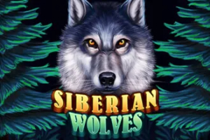 Siberian Wolves