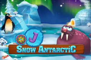 Snow Antarctic