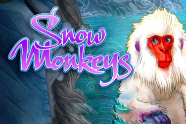 Snow Monkeys