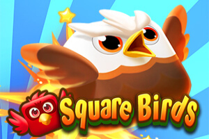 Square Birds