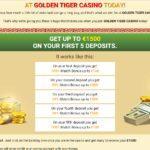 The History and Evolution of Golden Tiger Casino Online