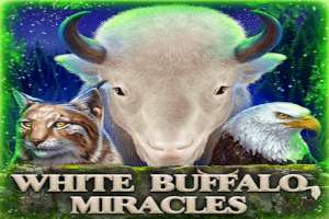 White Buffalo Miracles