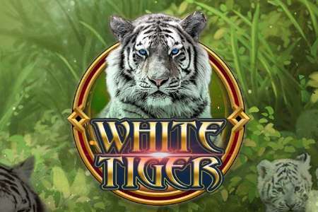 White Tiger