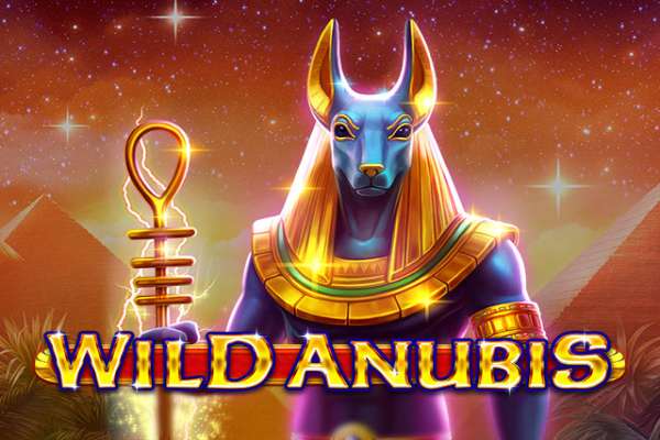 Wild Anubis