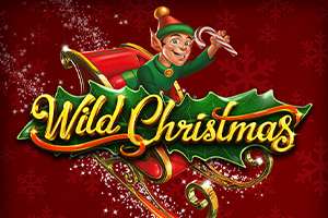 Wild Christmas