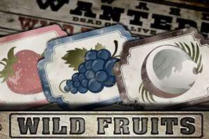 Wild Fruits