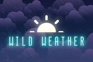 Wild Weather