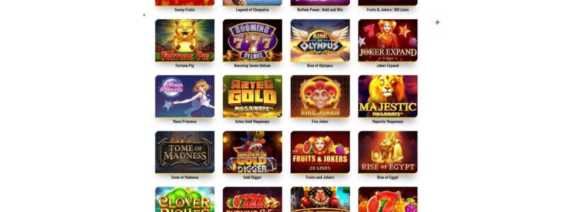 A Beginner's Guide to MaChance Casino Online: How to Get Started