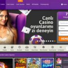 Exploring the Live Casino Options at Mr Oyun Casino Online