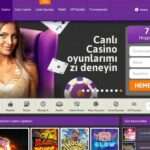 Exploring the Live Casino Options at Mr Oyun Casino Online