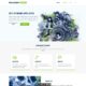 Bet at Home Affiliate Images